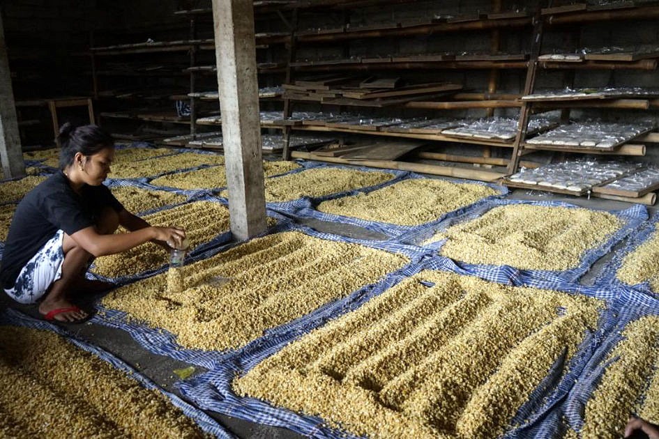 Rupiah Melemah, Perajin Tahu Tempe Kian Tertekan